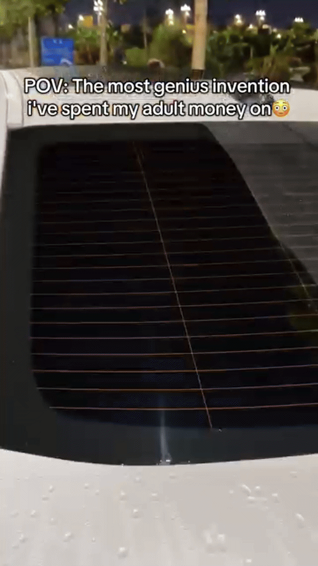 Cepillo Oil Film ¡Mas Transparente y brillante Imposible!