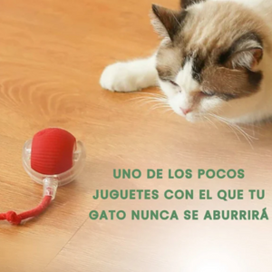 Pelota Inteligente Para Gatos: Salud y Diversión Garantizadas 2x1 🐶🐱🐾