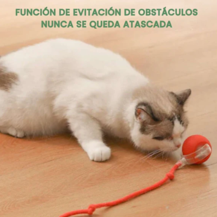 Pelota Inteligente Para Gatos: Salud y Diversión Garantizadas 2x1 🐶🐱🐾
