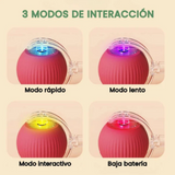 Pelota Inteligente Para Gatos: Salud y Diversión Garantizadas 2x1 🐶🐱🐾