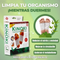 Parches desintoxicantes recibe 4 cajas (40 parches) por el precio de 1 🌱