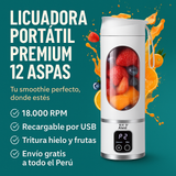 LICUADORA PREMIUM 12 ASPAS 500 ML